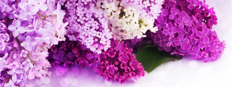 Обложка профиля для одноклассников красивые