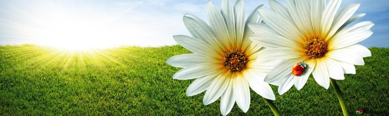 Красивые обложки для одноклассников