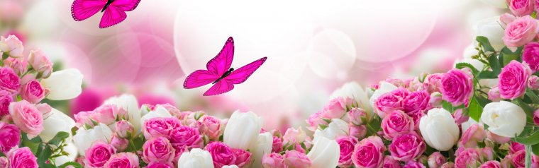 Красивые цветы на обложку