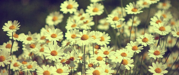 Красивые обложки для профиля