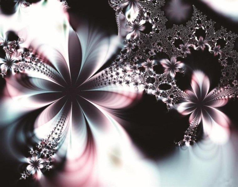 Красивые обои на профиль цветы