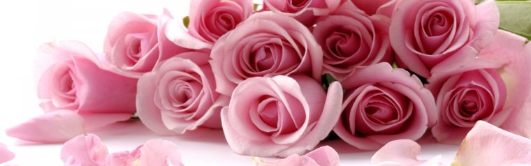 Цветок абстракция на черном фоне