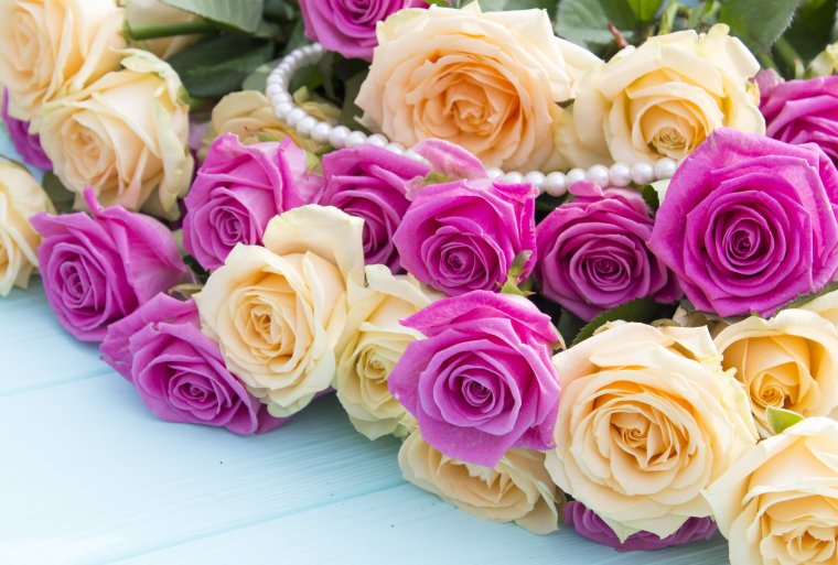 Роза кустовая Пинк биджукс