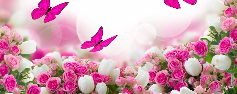 Красные розы