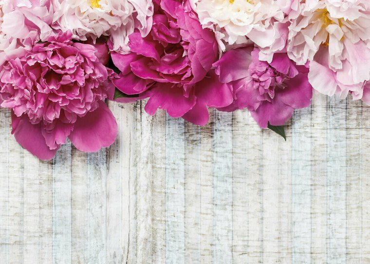 Красивые цветы на обложку