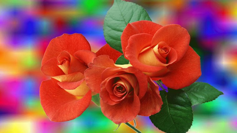 Яркие цветы фон