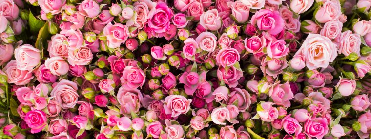 Красивый букет цветов