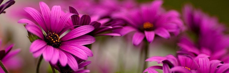 Красивые обложки на страничку