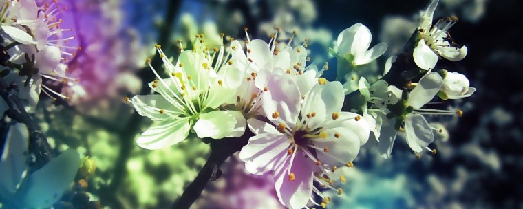 Обложка профиля для одноклассников красивые