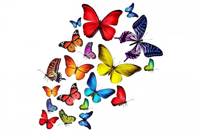 Бабочки вектор на прозрачном фоне