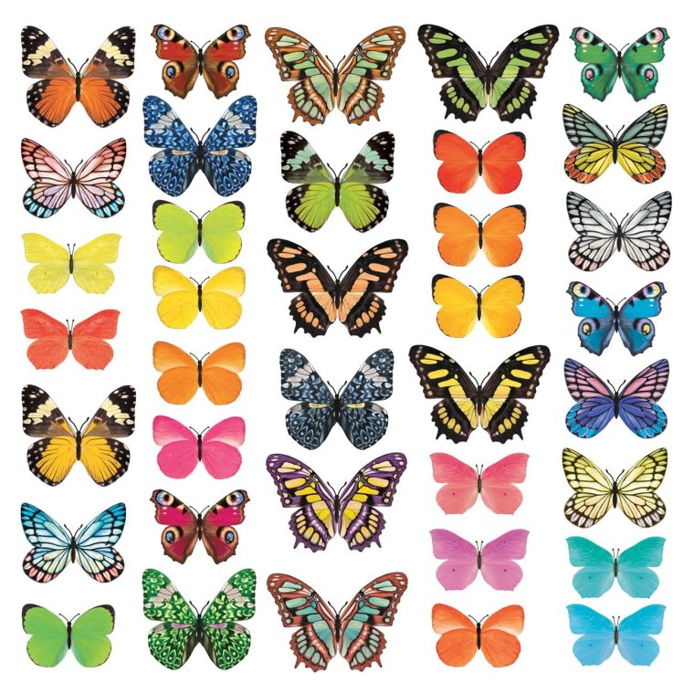 Бабочки Эстетика инди КИД