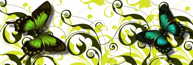 Бабочка на зеленом фоне