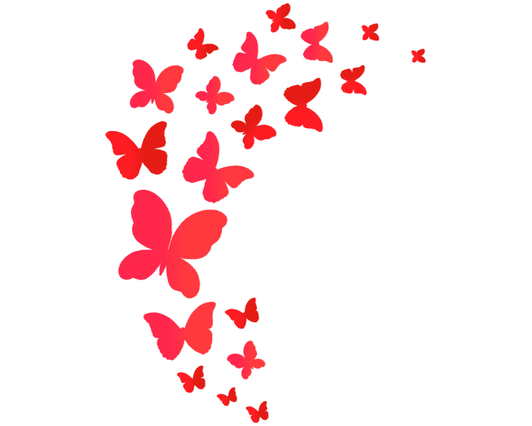 Вихрь из бабочек и цветов