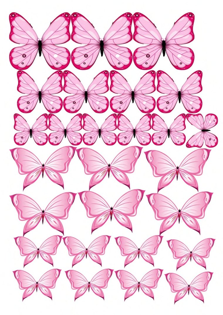 Торт «бабочки»