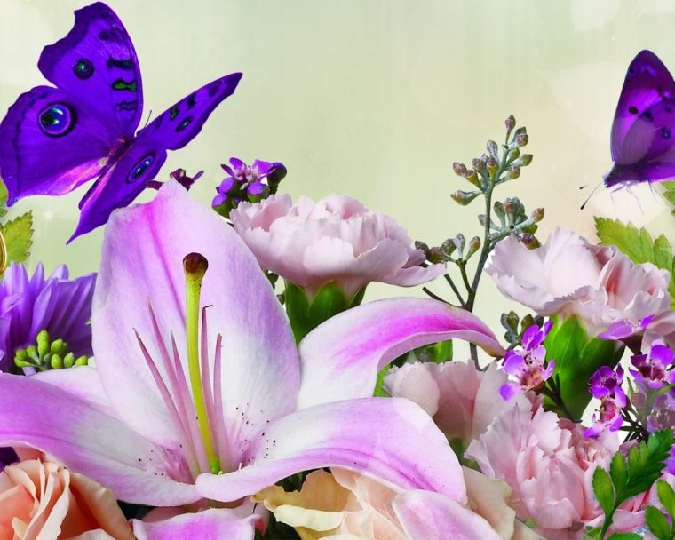 Открытка цветы