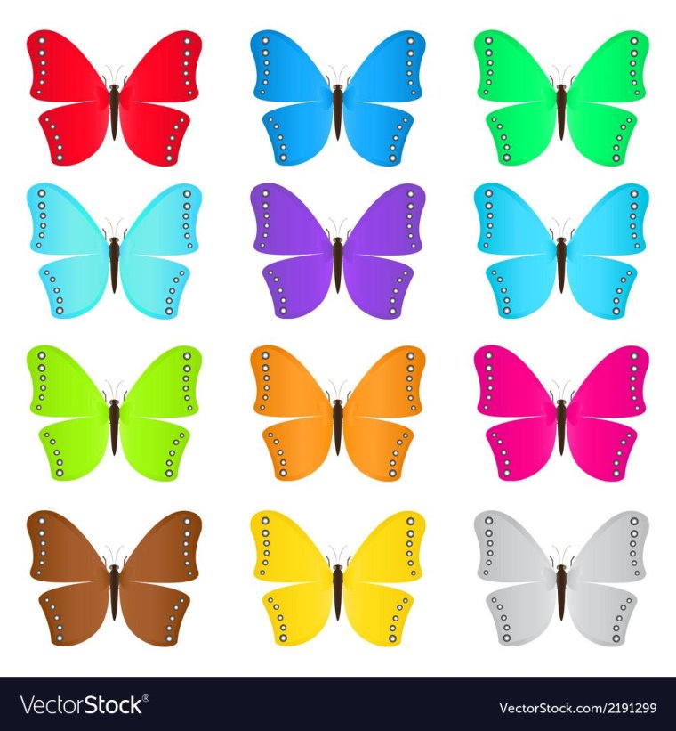Бабочки разного цвета для детей