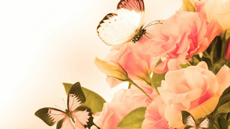 Фон для открытки