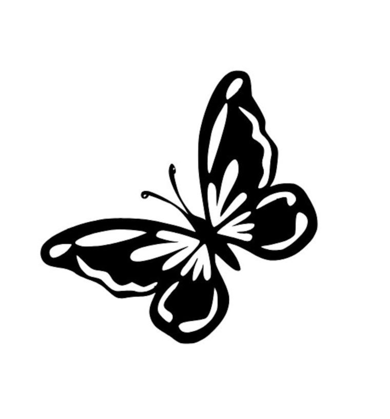 Контуры бабочек для декора