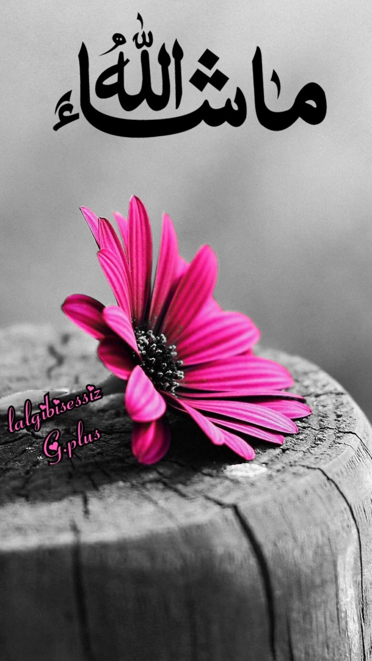 Исламские фоны для рабочего стола