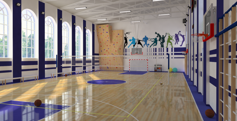 Современный спортзал в школе