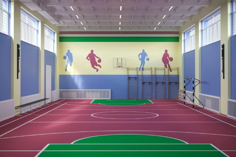 Дубровицкая школа физкультурный зал