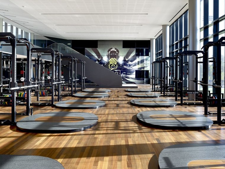 Роспись стен в тренажерном зале