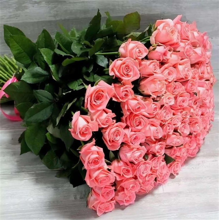 Розы Анна Карина 101