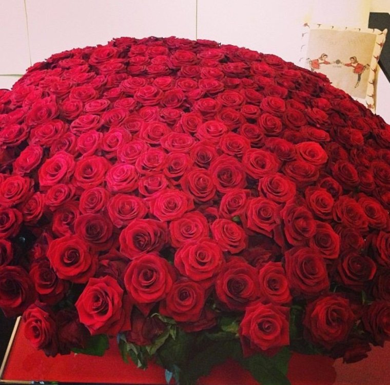 151 Роза ред Наоми