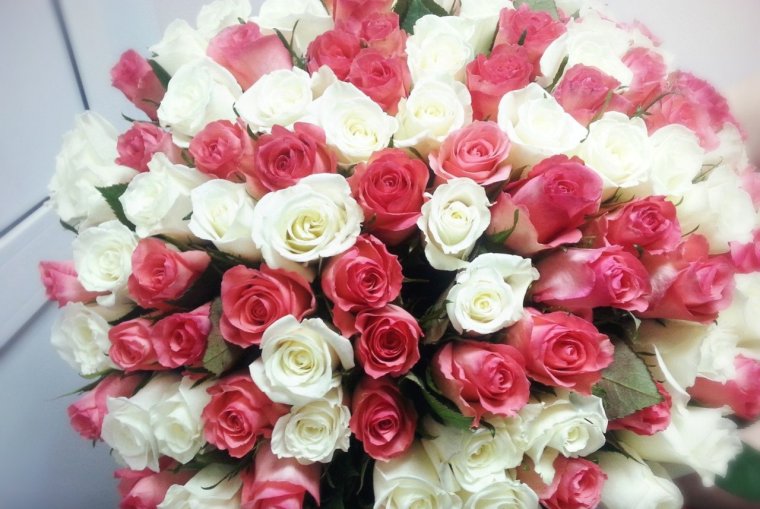 Букет живых роз