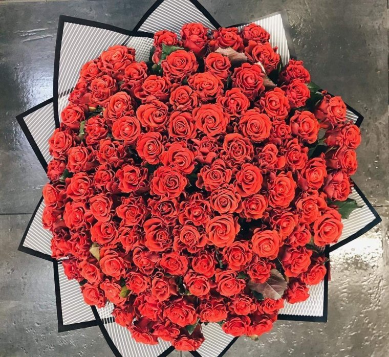 Букет алых роз 101