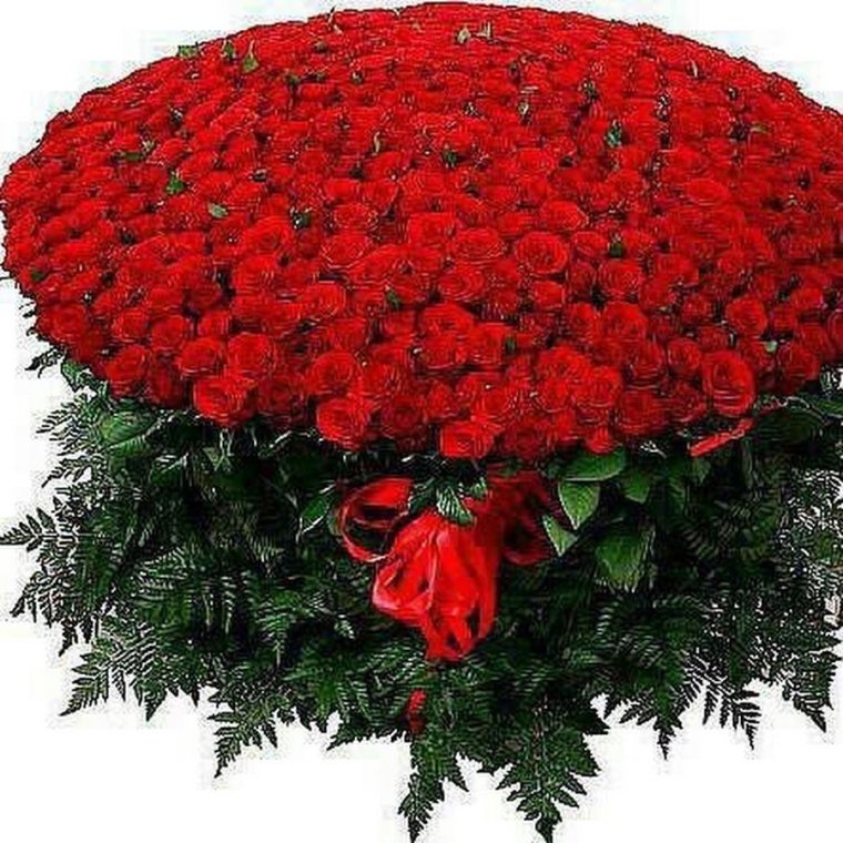 Цветы для красавицы