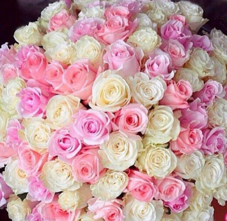 Нежно розовые розы букет