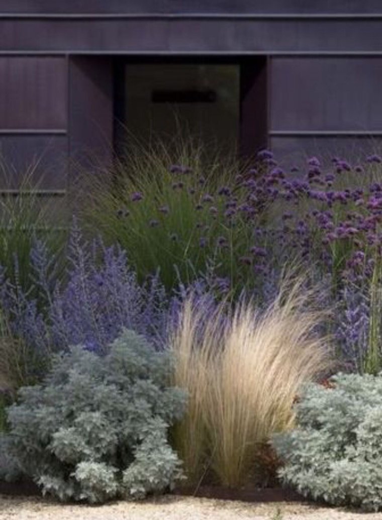 Злаки в ландшафтном дизайне