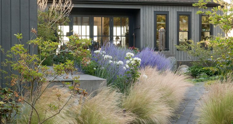 Дербенник пит Удольф