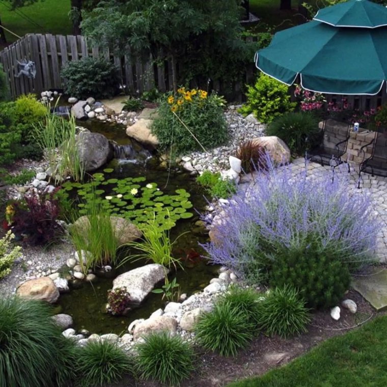 Котовник Фассена и злаки