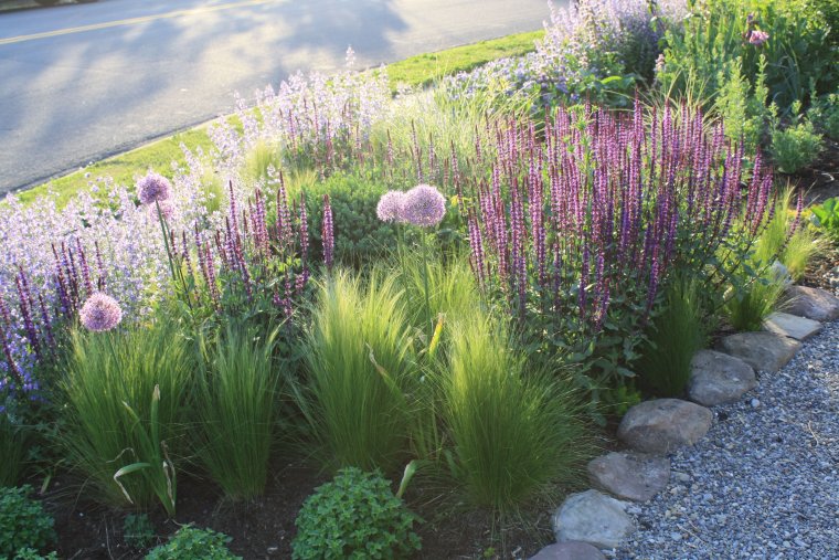 Хвойно Вересковый миксбордер