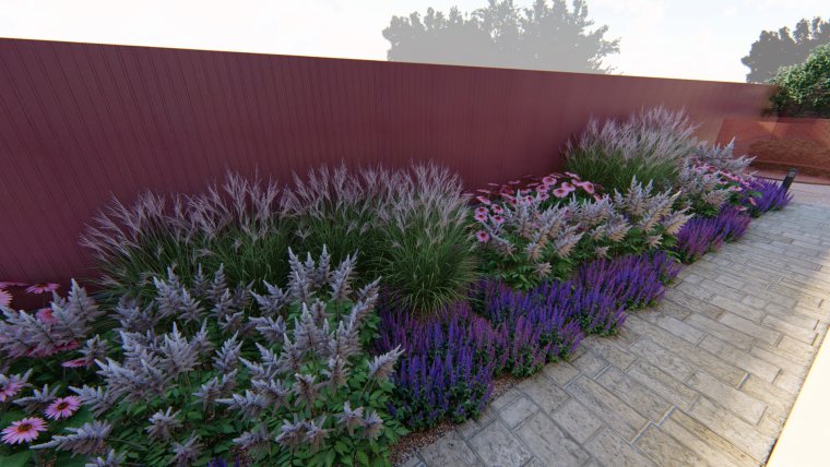 Вейник остроцветковый котовник