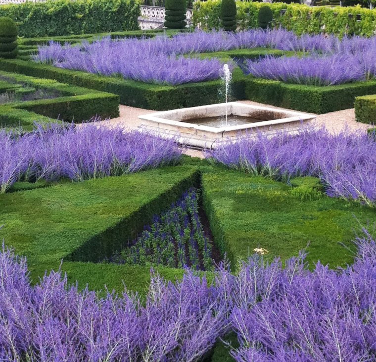 Миксбордер Лаванда овсяница