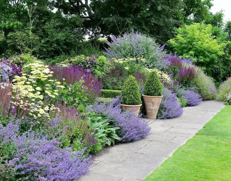 Котовник Фассена уолкерс Лоу