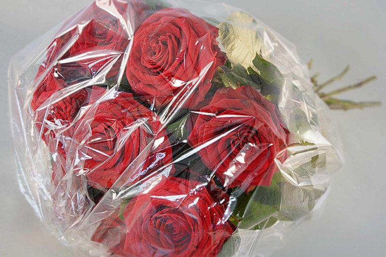 Роза в целлофане