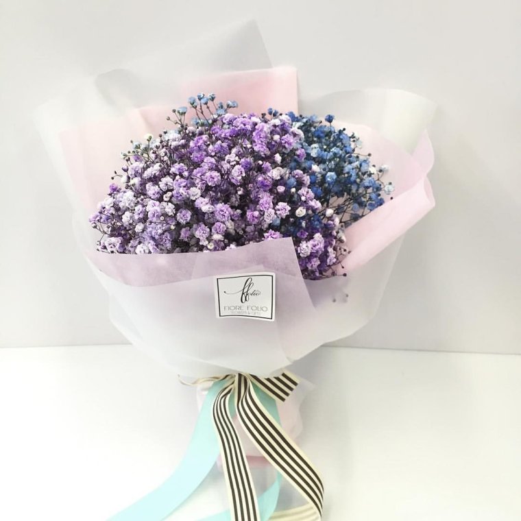 Гортензия гипсофила Лаванда