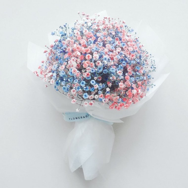 Гипсофилы Пинтерест