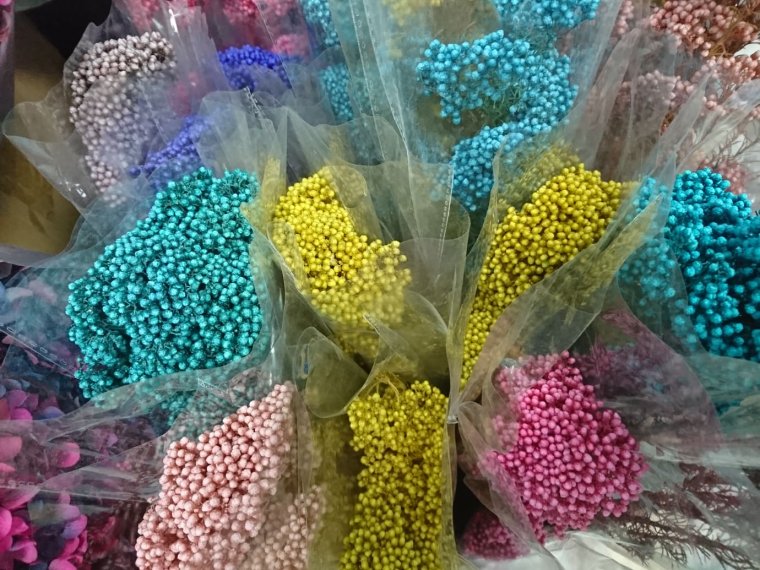 Сухоцветы разноцветные