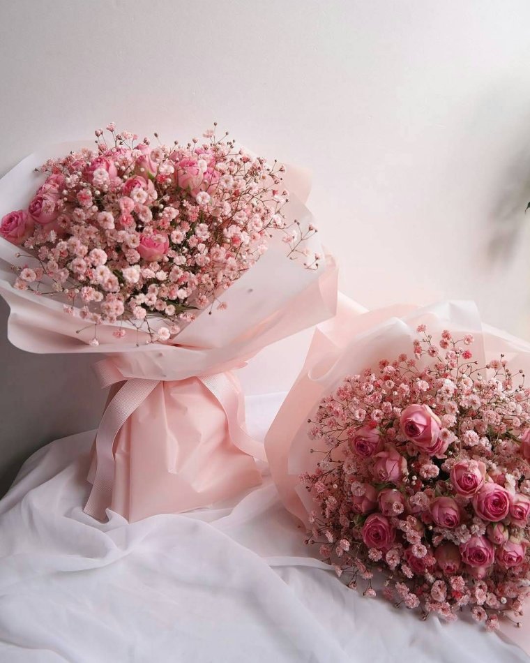 Гипсофила Мирабелла