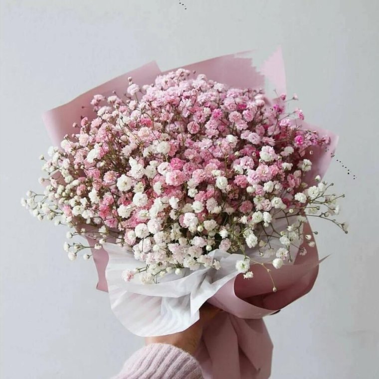 Гипсофила Тихоокеанская розовая