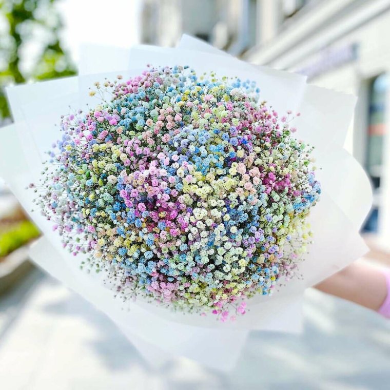 Радужная гипсофила