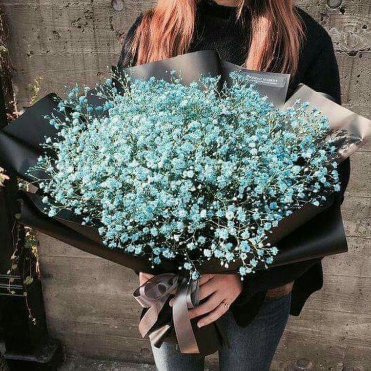 Гипсофила Тиффани