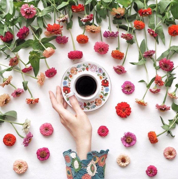 Летние цветы Инстаграм