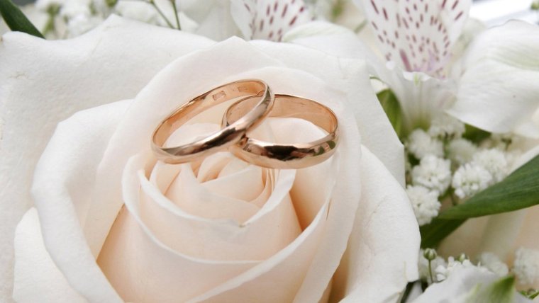 Кольца обручальные на зимнем фоне