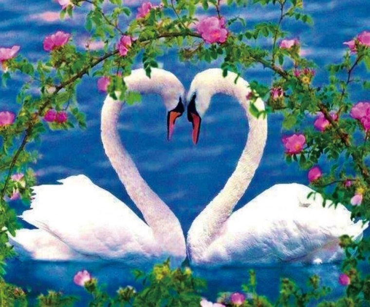 Символ любви и верности